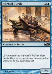 Horned Turtle - 