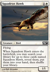 Squadron Hawk - 