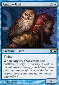 Augury Owl - 
