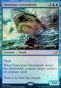 Grand requin vorace - 