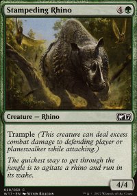 Stampeding Rhino - 