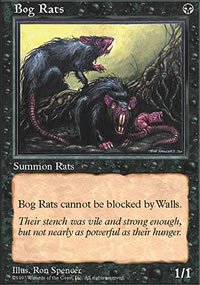 Rats des marcages - 