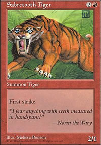 Tigre  dents de sabre - 