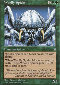Woolly Spider - 