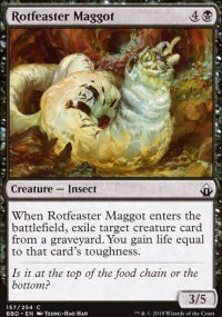 Rotfeaster Maggot - 