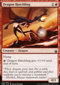 Dragon Hatchling - 