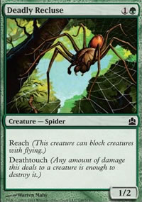 Deadly Recluse - 