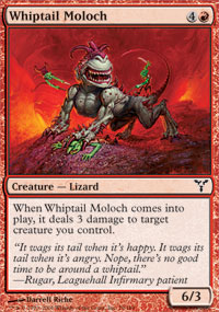 Whiptail Moloch - 