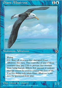 Giant Albatross - 