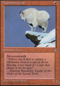 Mountain Goat - 