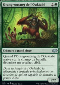 Orang-outang de l'Ouktabi - 
