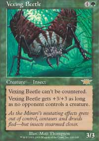 Vexing Beetle - 