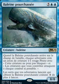 Baleine pourchasse - 