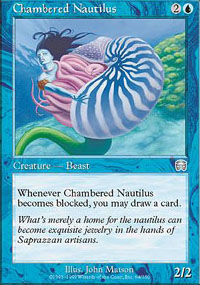 Chambered Nautilus - 