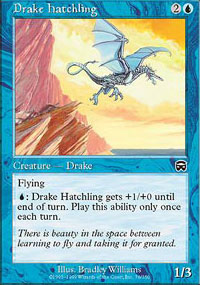 Drake Hatchling - 