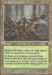 Hickory Woodlot - 