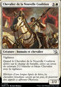 Chevalier de la Nouvelle Coalition - 
