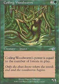 Coiling Woodworm - 