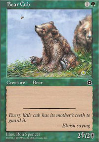 Bear Cub - 