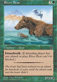 River Bear - 