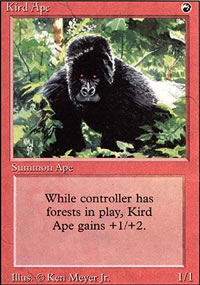 Gorille beringe - 