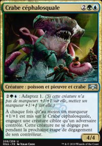 Crabe cphalosquale - 