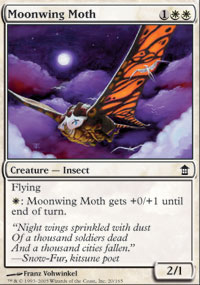 Moonwing Moth - 
