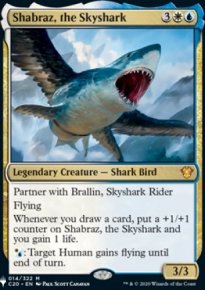 Shabraz, the Skyshark - The List