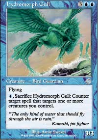 Hydromorph Gull - 