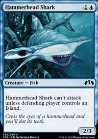 Hammerhead Shark - 