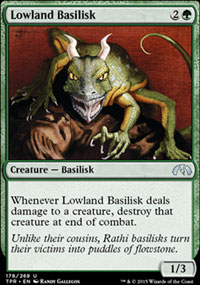 Lowland Basilisk - 