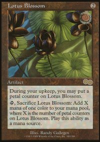Lotus Blossom - 