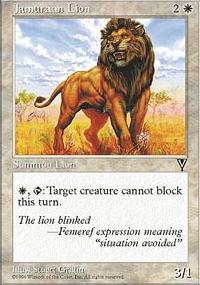 Lion de Djamraa - 