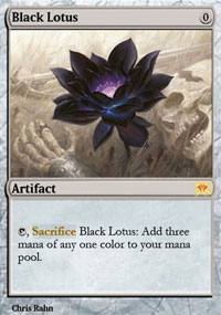Lotus noir - 