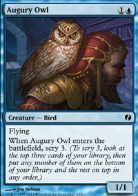 Augury Owl - 