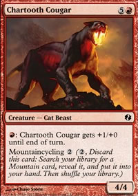 Chartooth Cougar - 