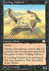 Circling Vultures - 