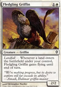 Fledgling Griffin - 