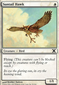 Suntail Hawk - 