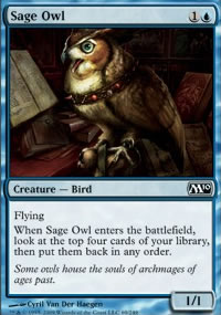 Sage Owl - 