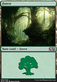 Forest 4 - Magic 2015