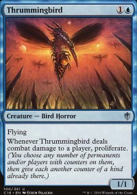 Thrummingbird - 