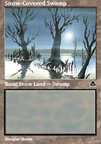 Snow-Covered Swamp - 