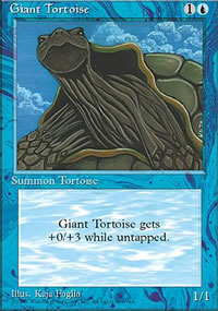 Giant Tortoise - 