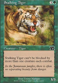 Tigre en chasse - 
