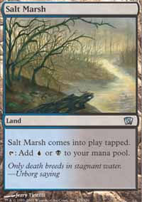 Salt Marsh - 