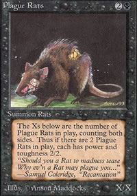 Rats de la peste - 