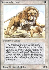 Savannah Lions - 