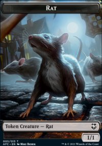 Rat - 