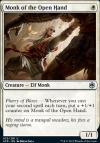 Monk of the Open Hand - 